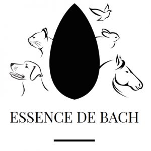 Essernce de Bach
